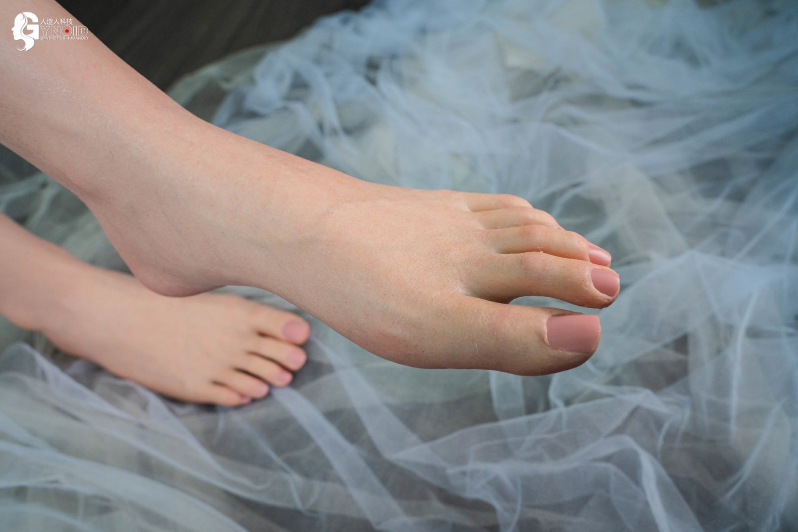 Bambola del sesso Lori Modello 13R Deluxe (Gynoid Doll Coppa F in silicone da 170 cm)