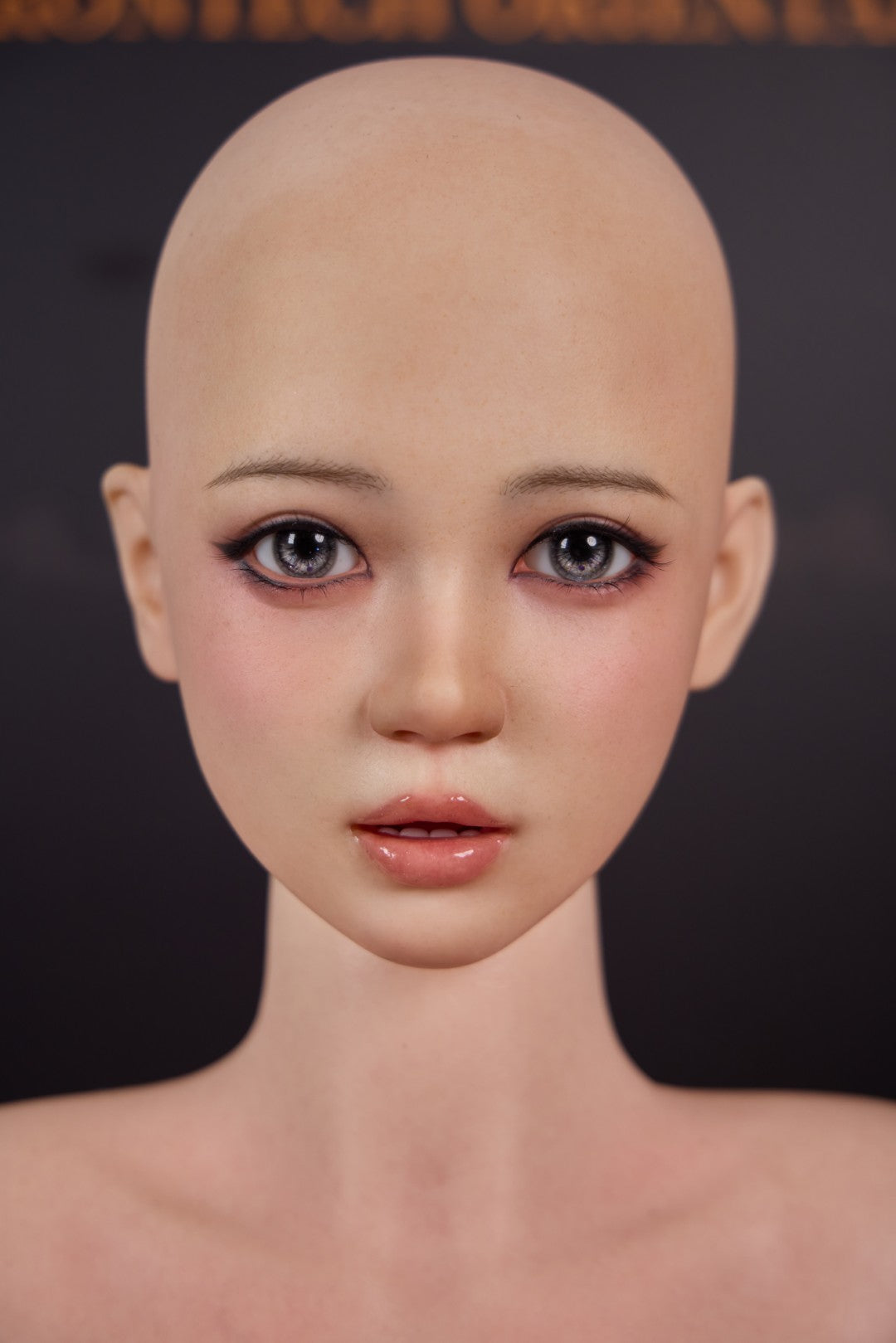 Nia Sex doll (Irontech Doll 161cm F-cup T3 silicone)