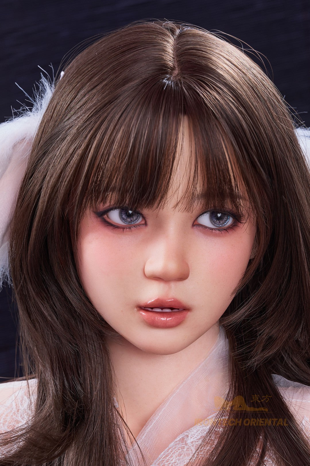 Nia Sex doll (Irontech Doll 161cm F-cup T3 silicone)