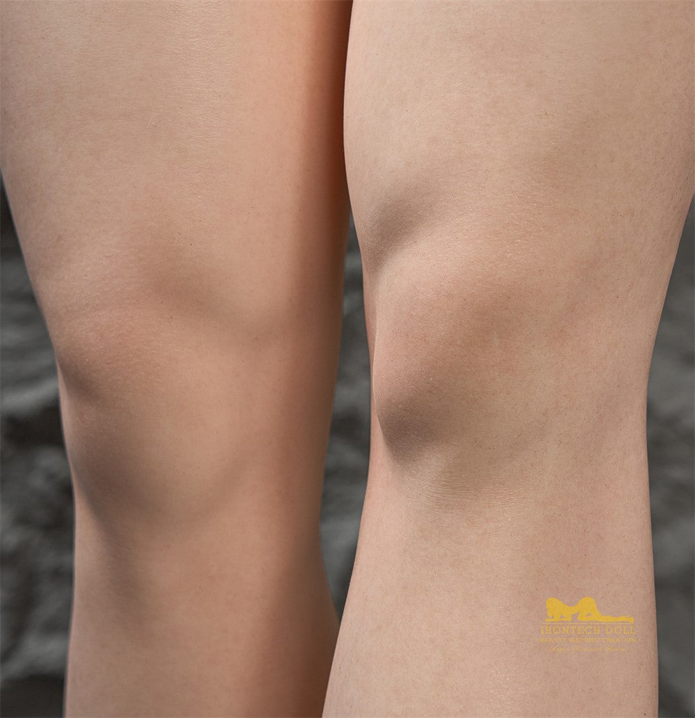 Sasha Sex doll (Irontech Doll 165cm F-cup T5-1 RST silicone)