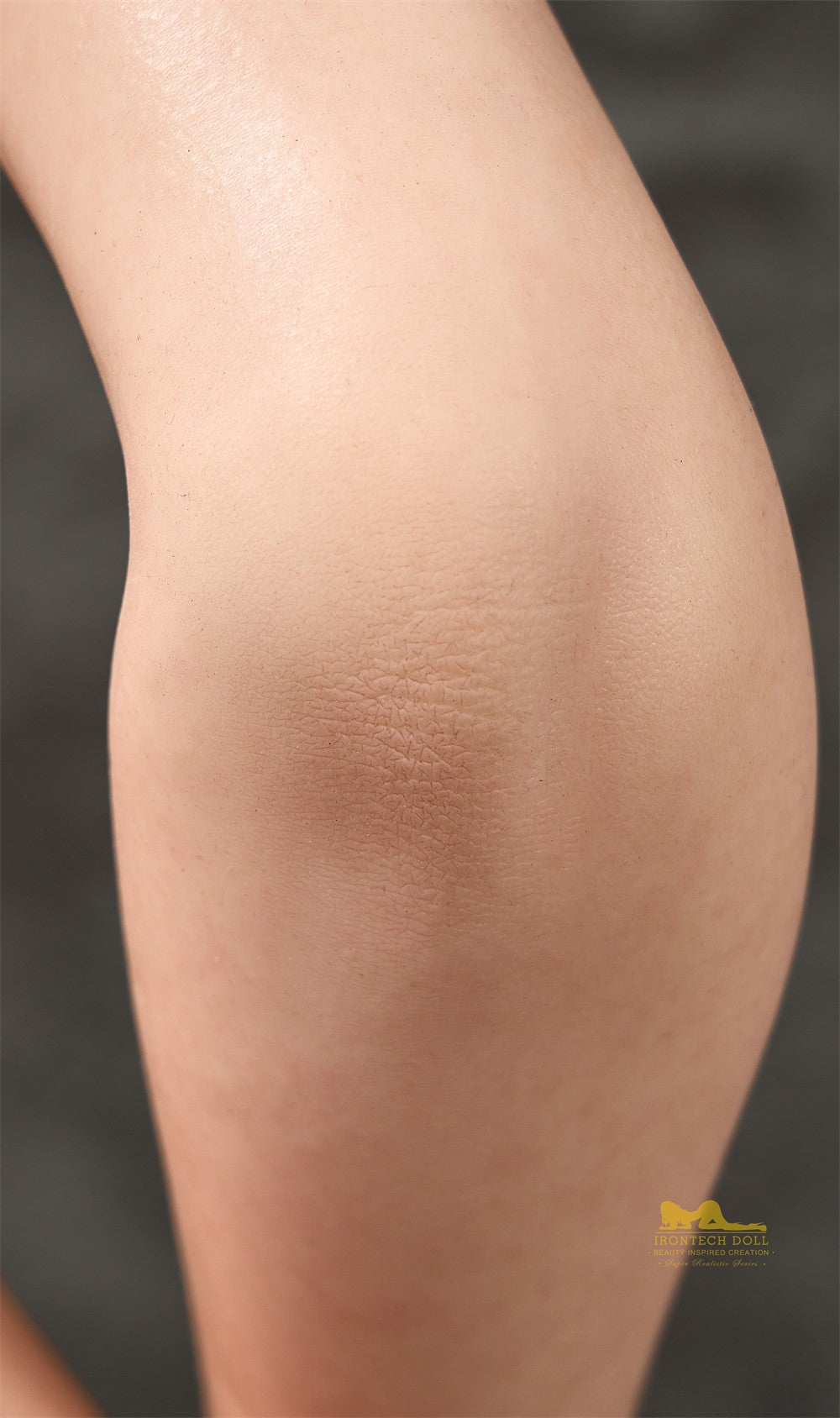 Sasha Sex doll (Irontech Doll 165cm F-cup T5-1 RST silicone)