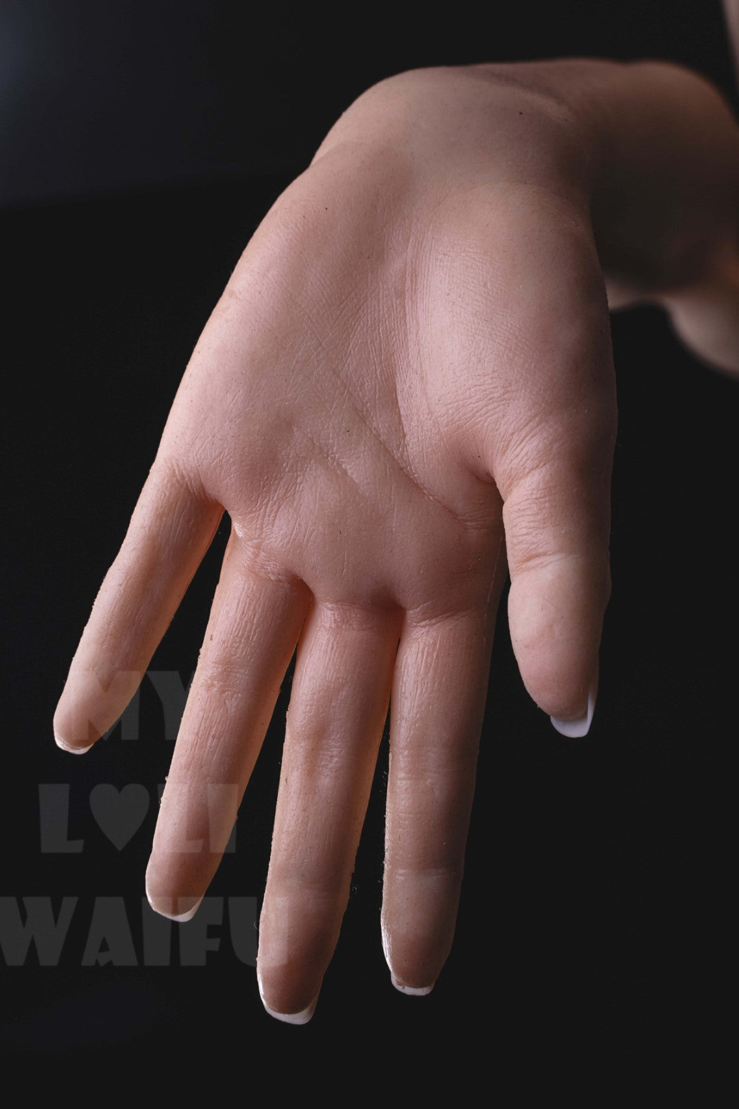 Ali bambola del sesso (My Loli Waifu 148 cm Coppa B #60 Silicone)