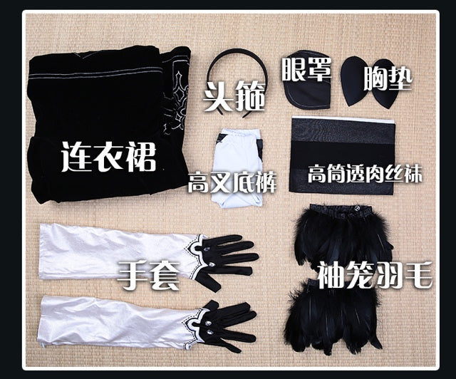 Official Cosplay Outfits (Game Lady)