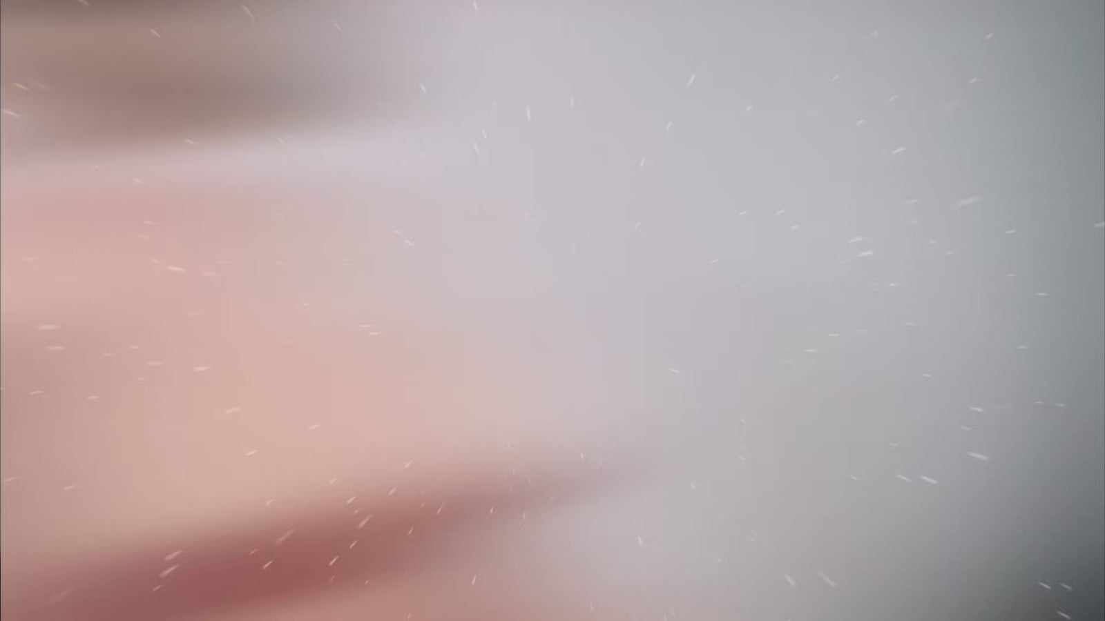 Wanda bambola del sesso trans (Dolls Castle Coppa P da 178 cm #S7 in silicone)