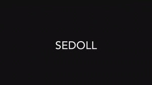 Jessie Sex Doll (SEDoll 161 cm F-CUP #088 TPE) EXPRESS