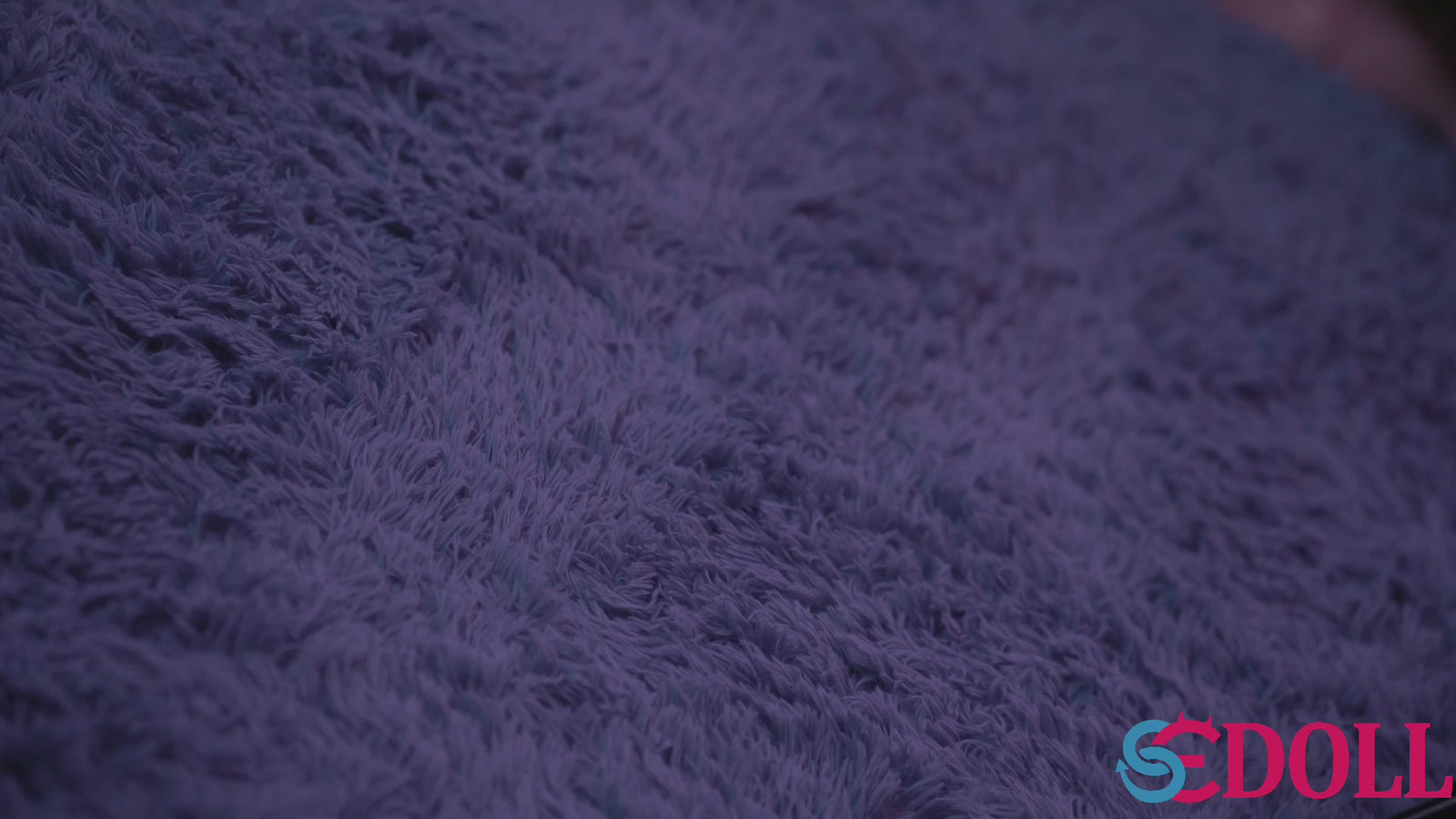 Sarah bambola del sesso (SEDoll Coppa C da 160 cm n. 101 in silicone)