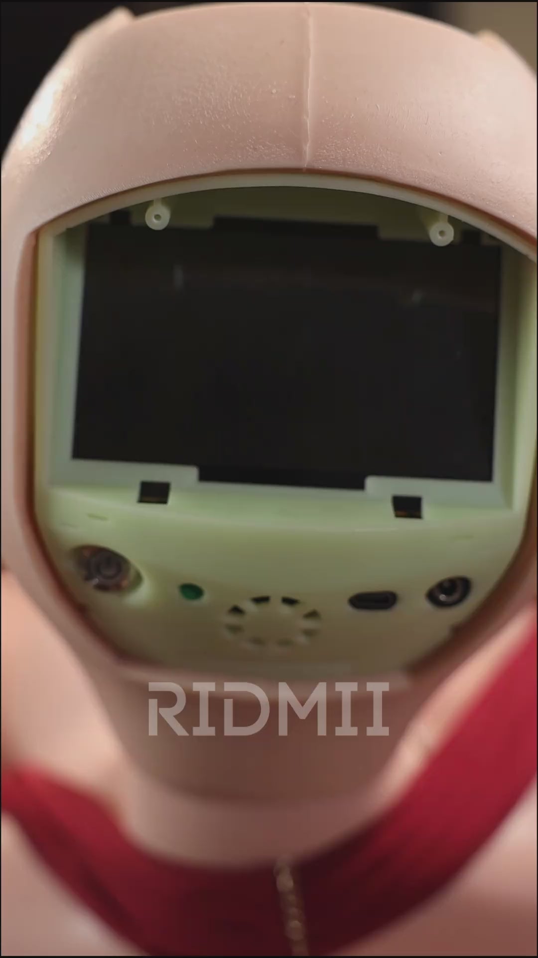 Hain Robot AI Sex doll (Ridmii Doll 163cm C-cup silicone)