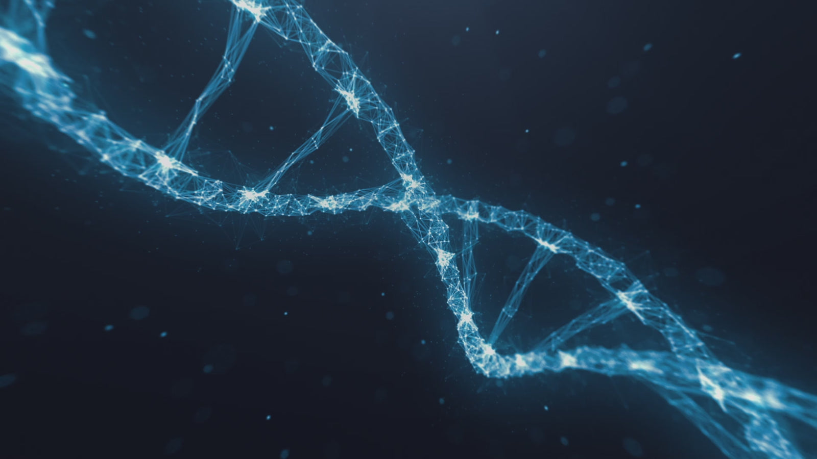 Hannah bambola del sesso (XT Doll Coppa C da 164 cm #XT-15 in silicone)